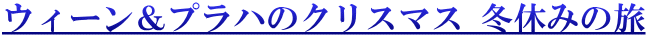 ウィーン＆プラハのクリスマス 冬休みの旅