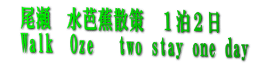 　尾瀬　水芭蕉散策　１泊２日 　Walk  Oze 　two stay one day