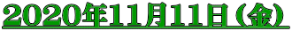 ２０２０年11月11日（金）