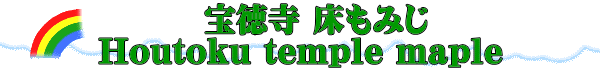 　　宝徳寺 床もみじ　 Houtoku temple maple