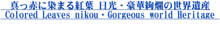 真っ赤に染まる紅葉 日光・豪華絢爛の世界遺産 Colored Leaves nikou・Gorgeous world Heritage