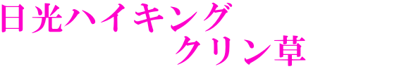 日光ハイキング 　　　　　クリン草　　　