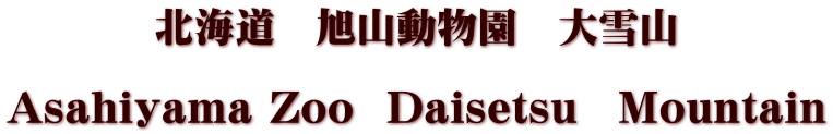 北海道　旭山動物園　大雪山  Asahiyama Zoo  Daisetsu　Mountain
