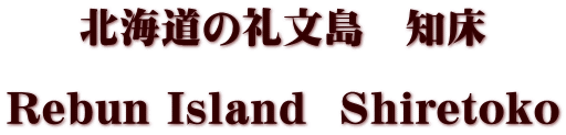 北海道の礼文島　知床  Rebun Island  Sｈiretoko