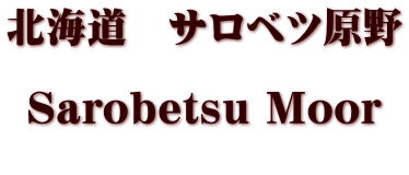 北海道　サロベツ原野  Sarobetｓu Moor 
