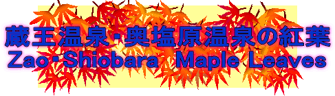 蔵王温泉・奥塩原温泉の紅葉 Zao・Shiobara  Maple Leaves