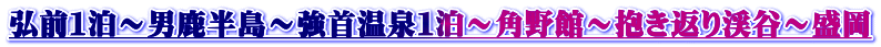 弘前１泊～男鹿半島～強首温泉１泊～角野館～抱き返り渓谷～盛岡