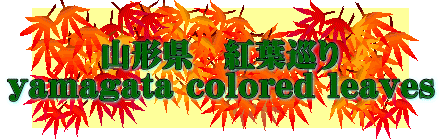 山形県　紅葉巡り yamagata colored leaves