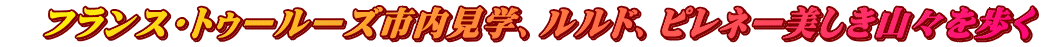 　フランス・トゥールーズ市内見学、ルルド、ピレネー美しき山々を歩く