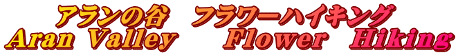 　　アランの谷　フラワーハイキング Aran Valley　　Ｆｌｏｗｅｒ　Ｈｉｋｉｎｇ